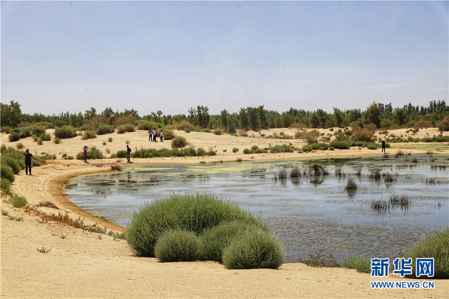 “大漠湖杨”生态景区助推和田地区旅游产业高质量发展
